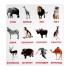 Карточки по методике Домана "Животные жарких стран" Обучающие