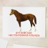Карточки по методике Домана "Лошади"