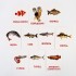 Карточки по методике Домана "Рыбы"