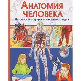 Анатомия человека Детская иллюстрированная энциклопедия - Винченцо Гуиди